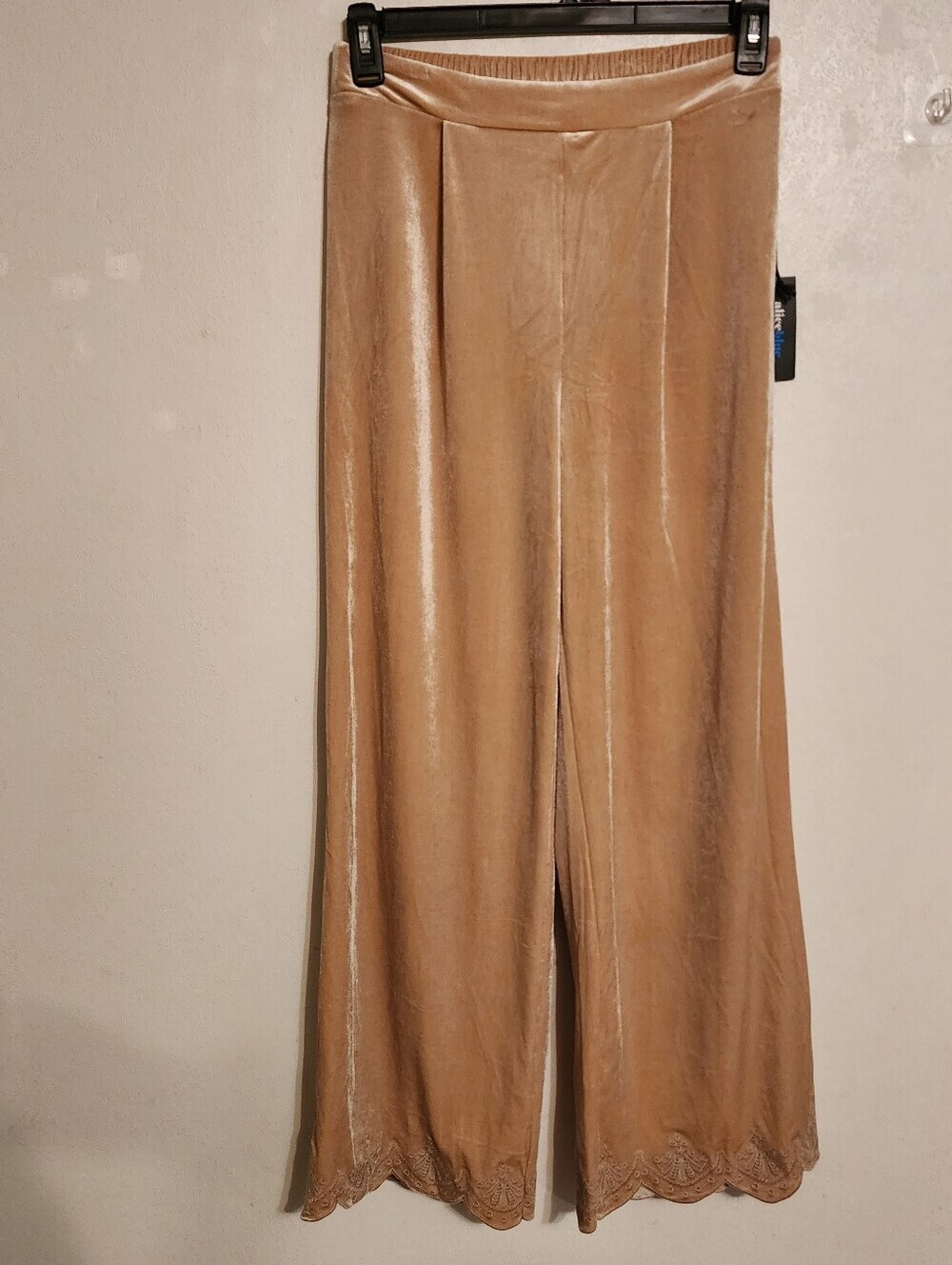 Alice Blue Beige Velvet Wide-leg Pants Scalloped Lace Hem Detail S NWT (Hole)